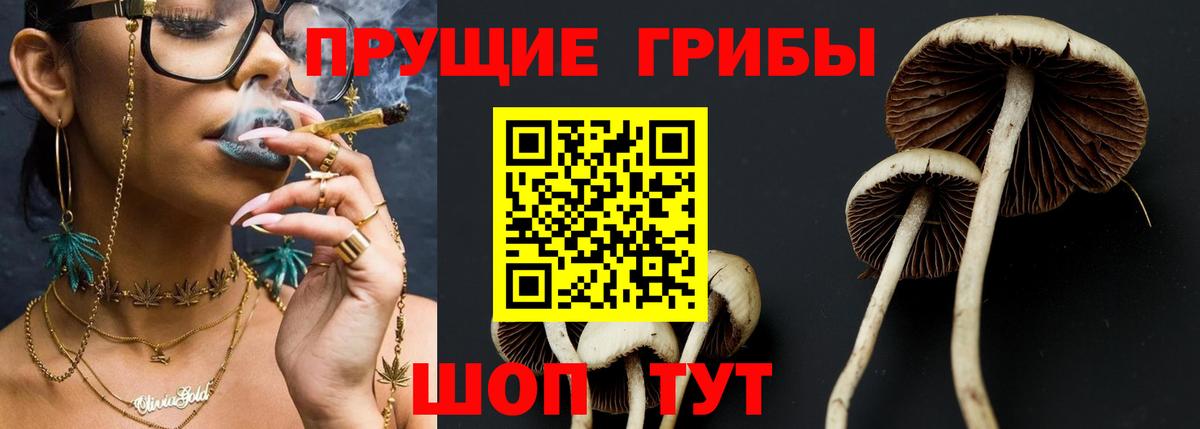 Галлюциногенные грибы MAGIC MUSHROOMS  Вход с VPN  Сокол 